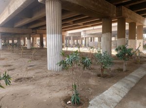 Urban Forest builts in NIPA Karachi
