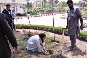 Participants of (ToT) under Faculty Development Program of the Sindh Higher Education Commission (SHEC) planting trees during their course in NIPA Karachi.