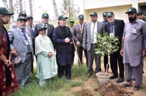 Few Glimpses of 44th MCMC