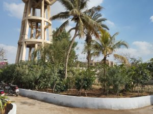 Urban Forest builts in NIPA Karachi