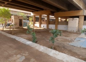 Urban Forest builts in NIPA Karachi
