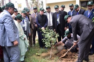 Few Glimpses of 44th MCMC