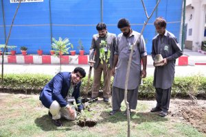 Participants of (ToT) under Faculty Development Program of the Sindh Higher Education Commission (SHEC) planting trees during their course in NIPA Karachi.