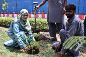 Participants of (ToT) under Faculty Development Program of the Sindh Higher Education Commission (SHEC) planting trees during their course in NIPA Karachi.
