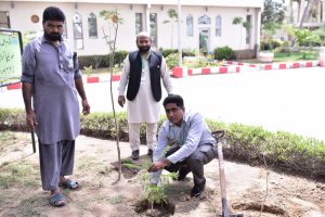 Participants of (ToT) under Faculty Development Program of the Sindh Higher Education Commission (SHEC) planting trees during their course in NIPA Karachi.