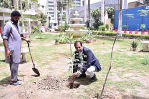 Participants of (ToT) under Faculty Development Program of the Sindh Higher Education Commission (SHEC) planting trees during their course in NIPA Karachi.