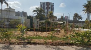 Urban Forest builts in NIPA Karachi