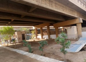 Urban Forest builts in NIPA Karachi
